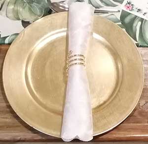 Napkin and plate