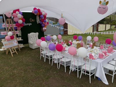 Party Planner Setup